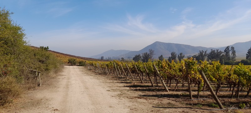 Campo en venta en Casablanca — foto 2