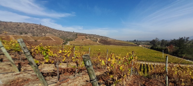 Campo en venta en Casablanca — foto 4