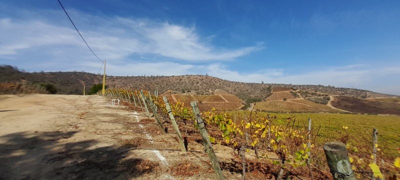 Campo en venta en Casablanca — foto 5