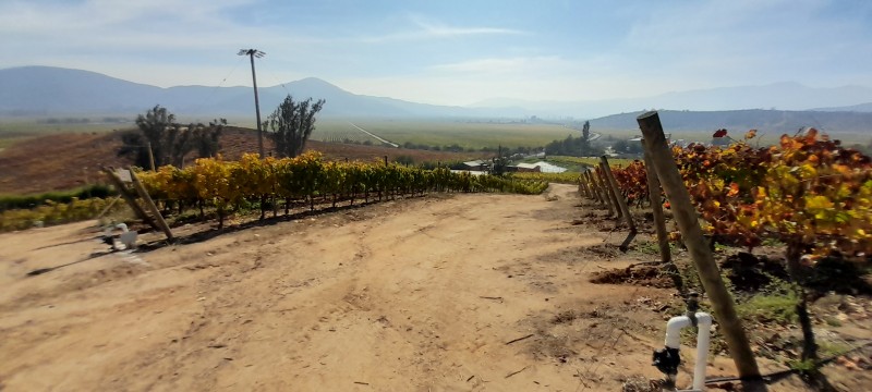 Campo en venta en Casablanca — foto 6