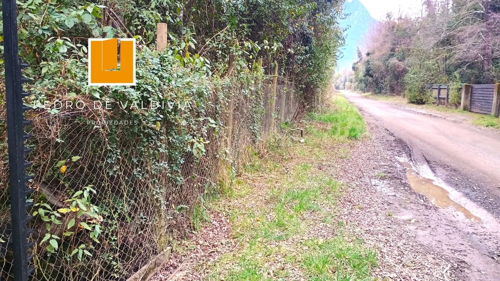 Terreno en venta en Pucón — foto 6