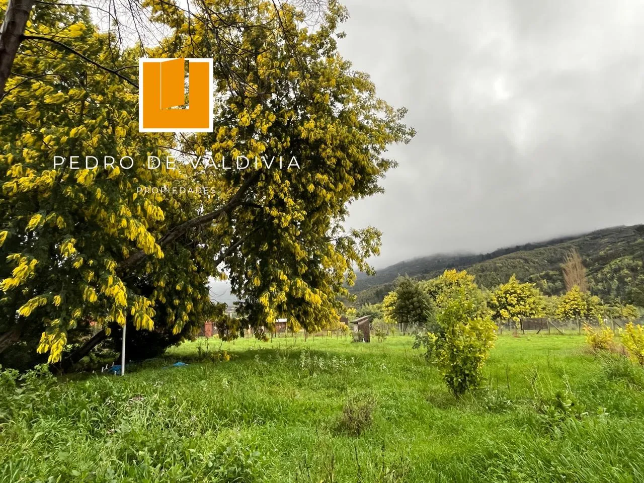 Parcela en venta en Quillón — foto 4
