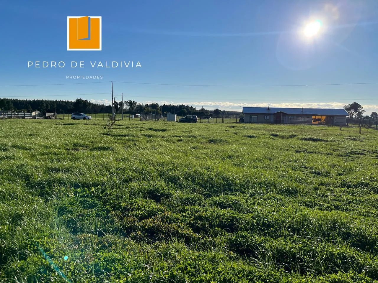 Parcela en venta en Chillán — foto 9