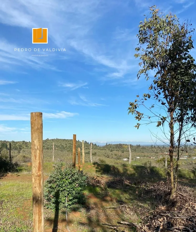 Terreno en venta en San Nicolás — foto 5
