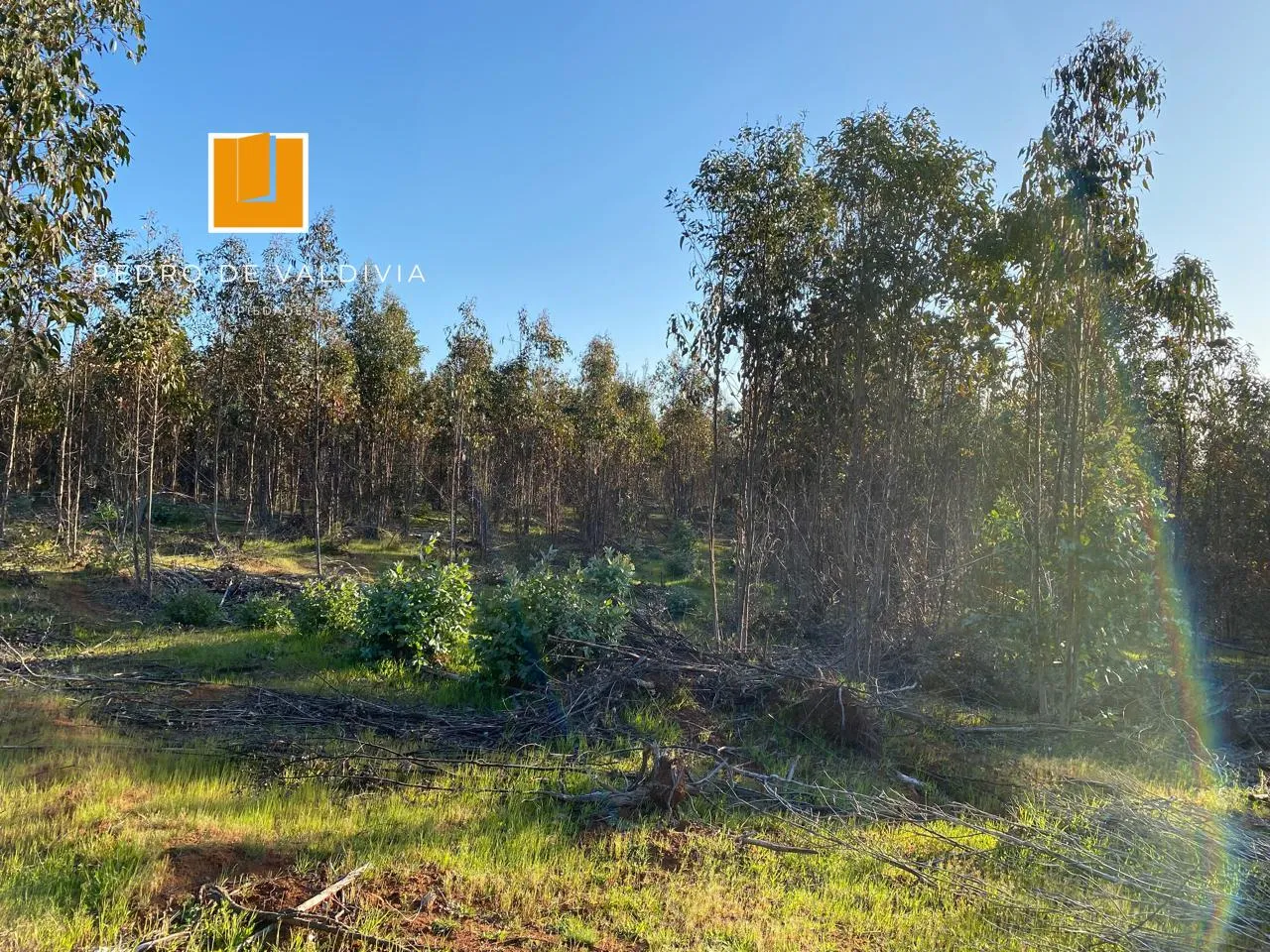 Terreno en venta en San Nicolás — foto 6