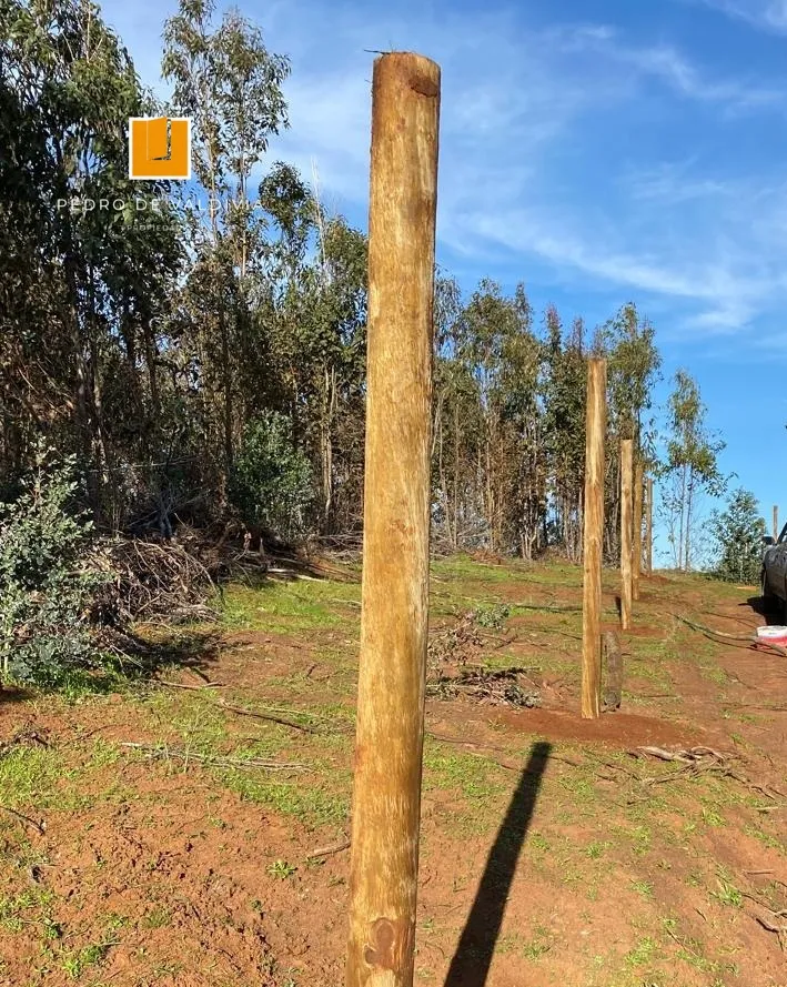 Terreno en venta en San Nicolás — foto 7