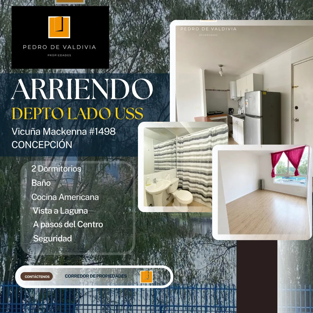 Departamento en arriendo en Concepción — foto 1
