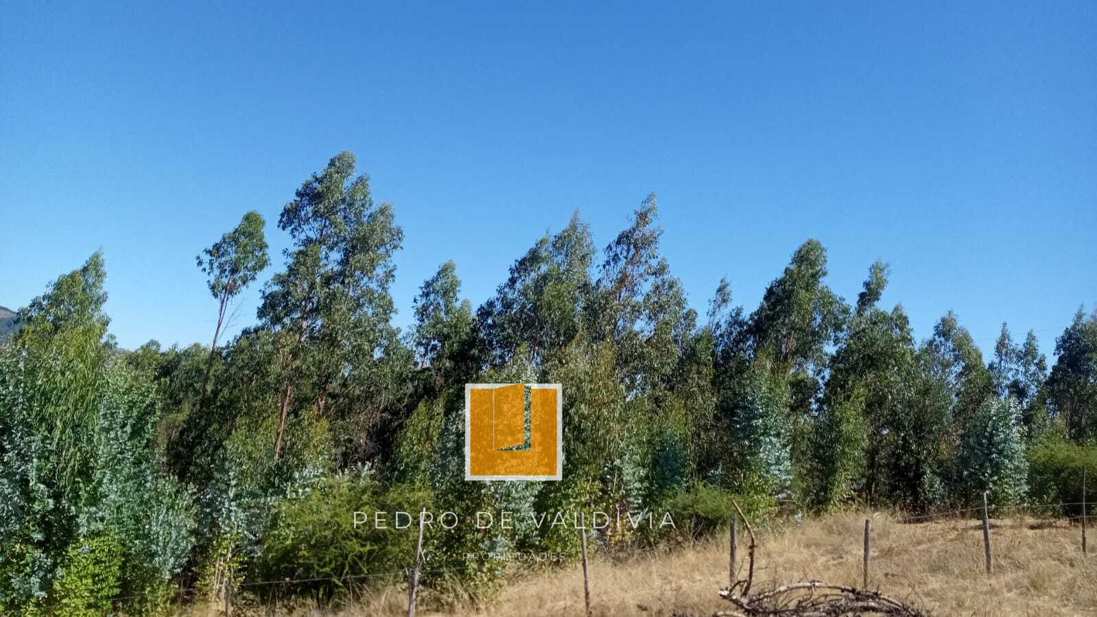 Terreno en venta en Ninhue — foto 3