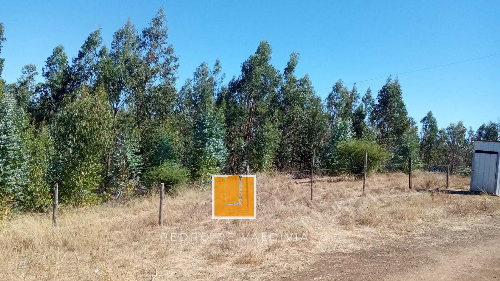 Terreno en venta en Ninhue — foto 4