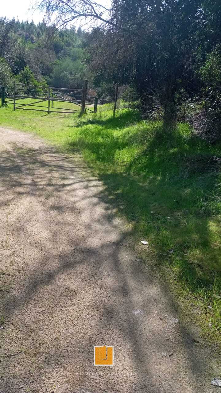 Terreno en venta en Ninhue — foto 5