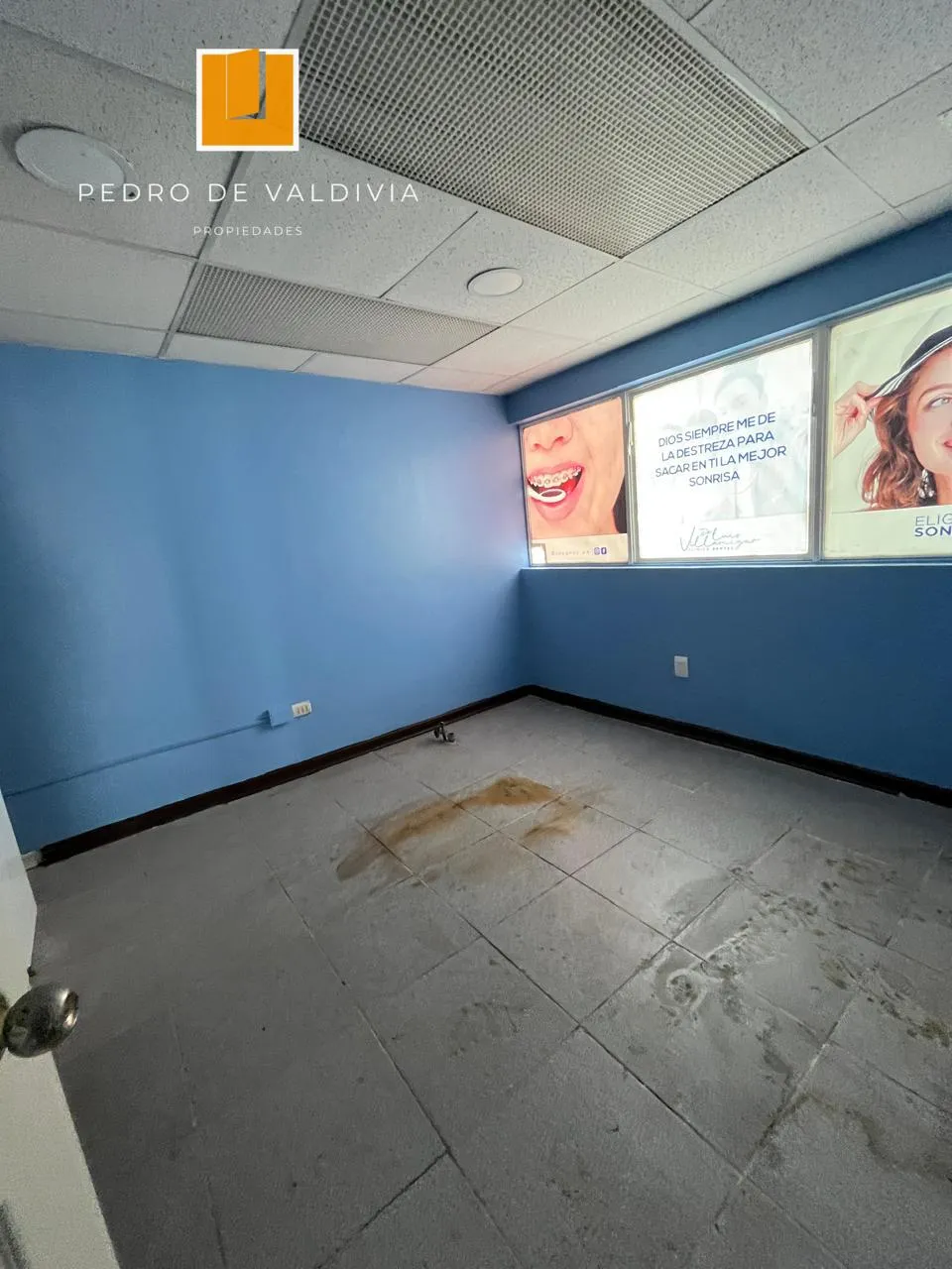 Local comercial en arriendo en Linares — foto 6
