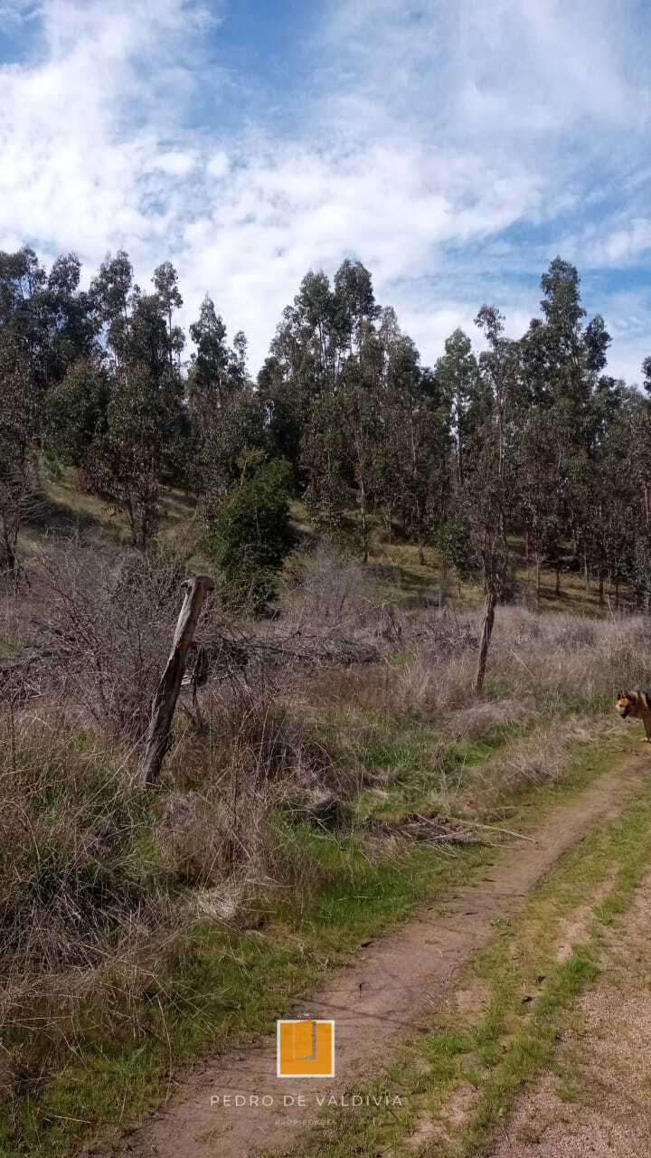 Terreno en venta en Ninhue — foto 4
