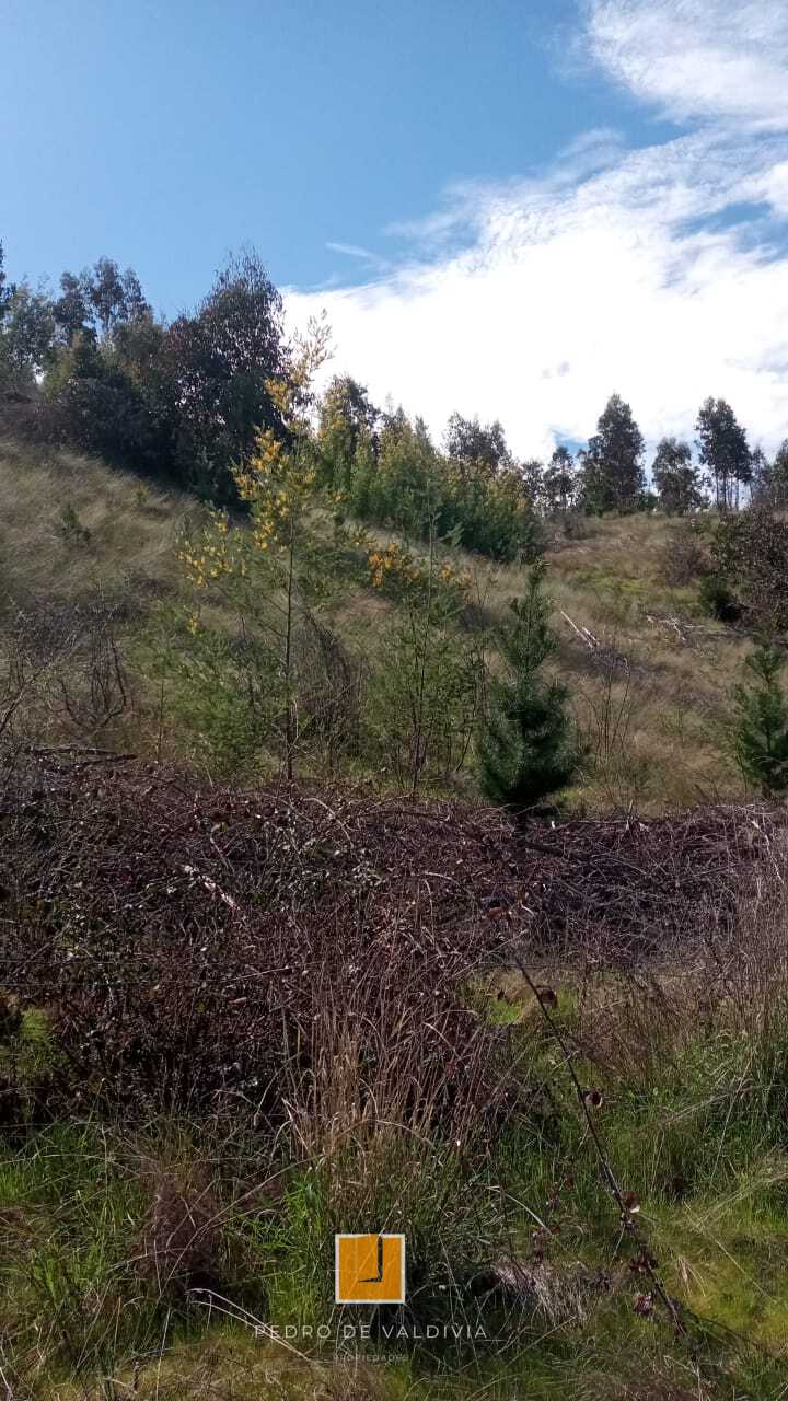 Terreno en venta en Ninhue — foto 5