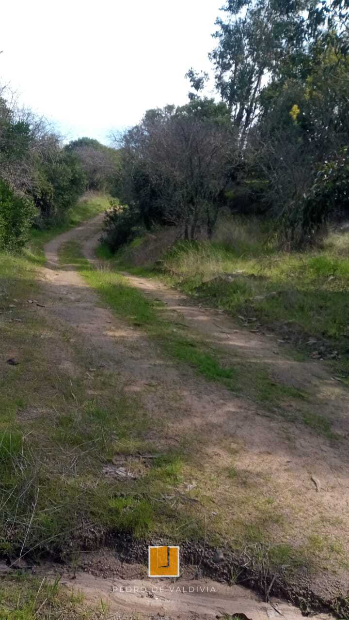 Terreno en venta en Ninhue — foto 6