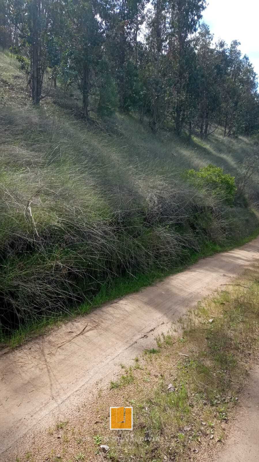 Terreno en venta en Ninhue — foto 7