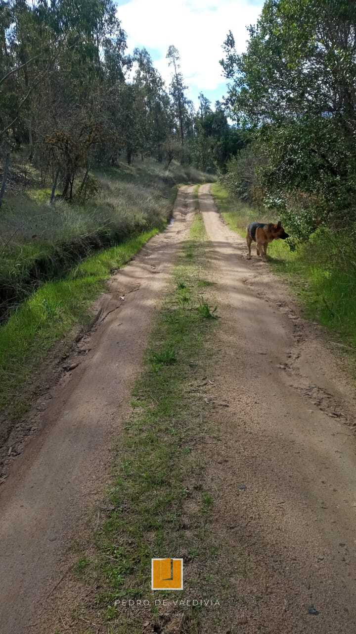 Terreno en venta en Ninhue — foto 8