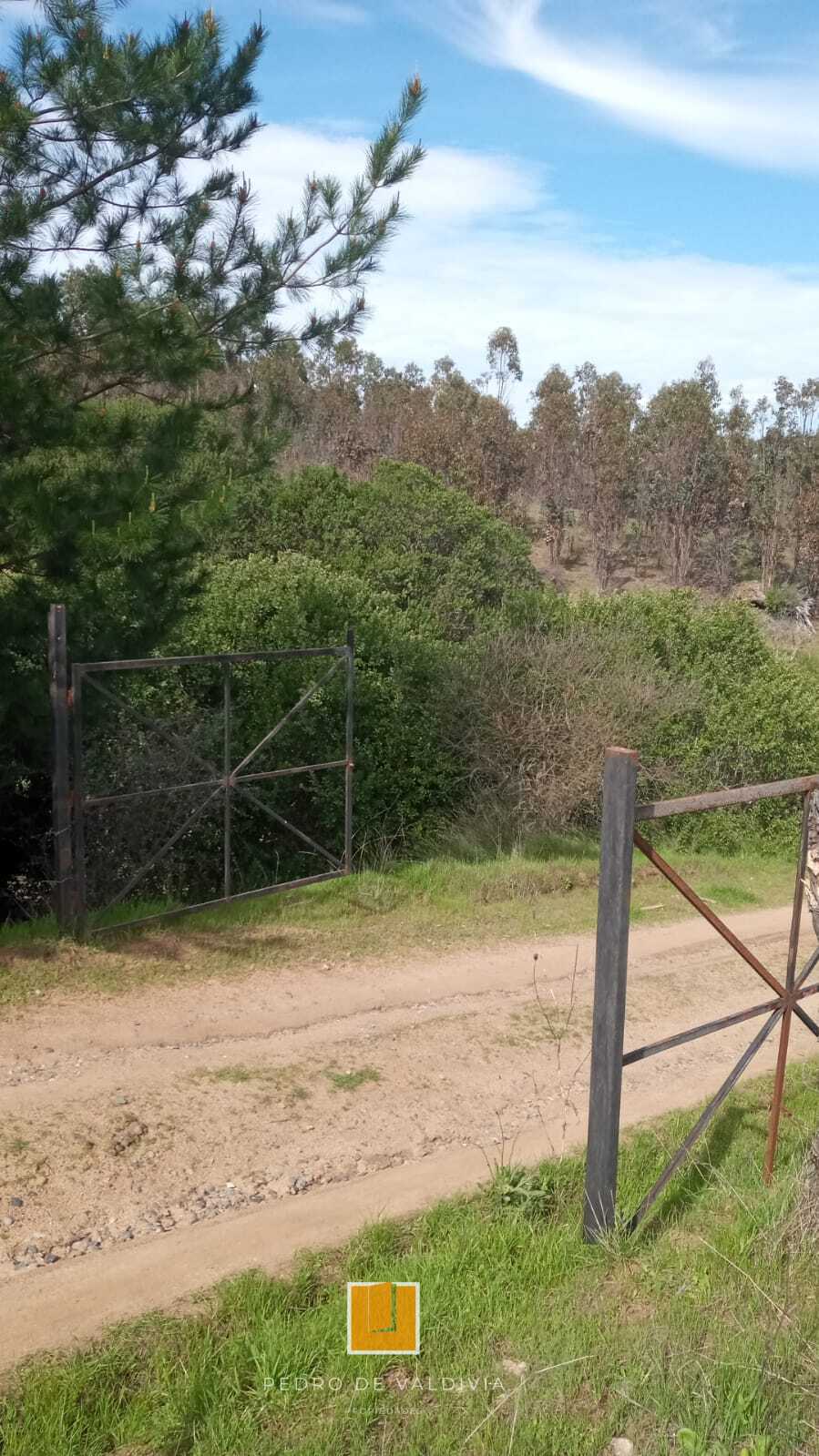 Terreno en venta en Ninhue — foto 9