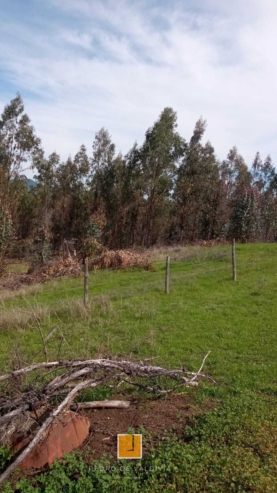 Terreno en venta en Ninhue — foto 10