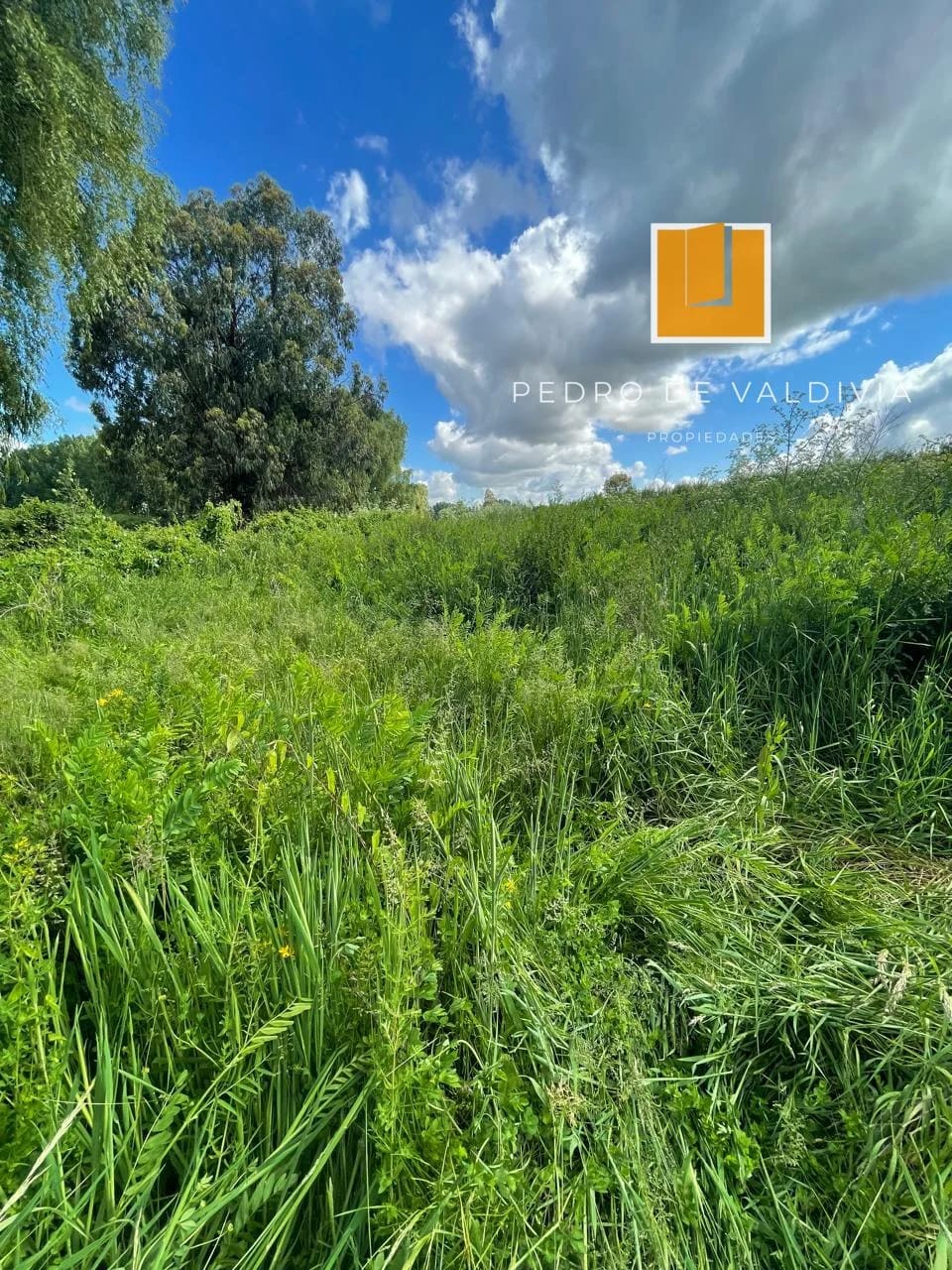 Terreno en venta en Chillán — foto 2