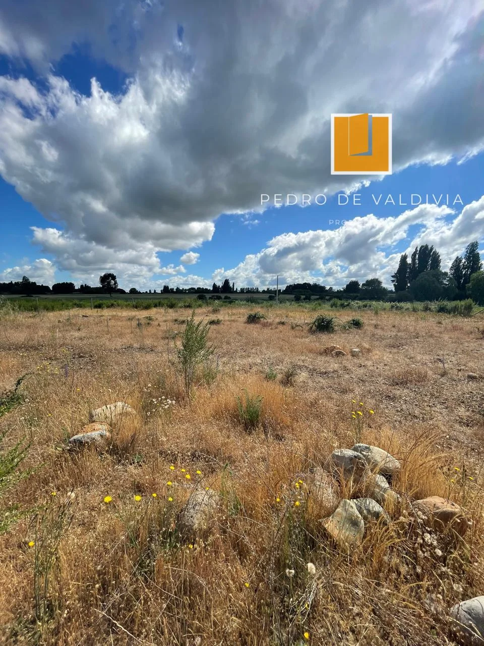 Terreno en venta en Chillán — foto 3