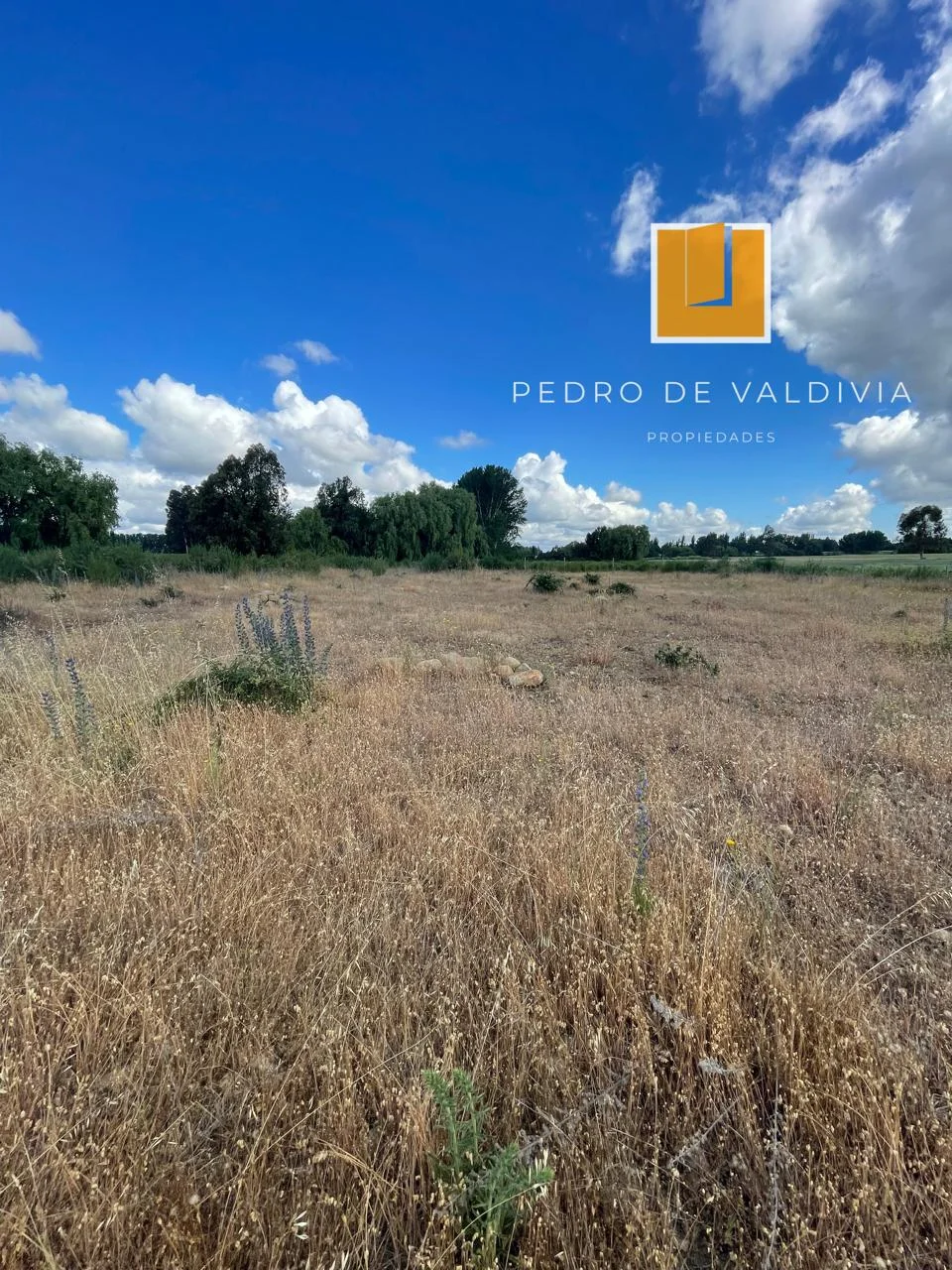 Terreno en venta en Chillán — foto 6