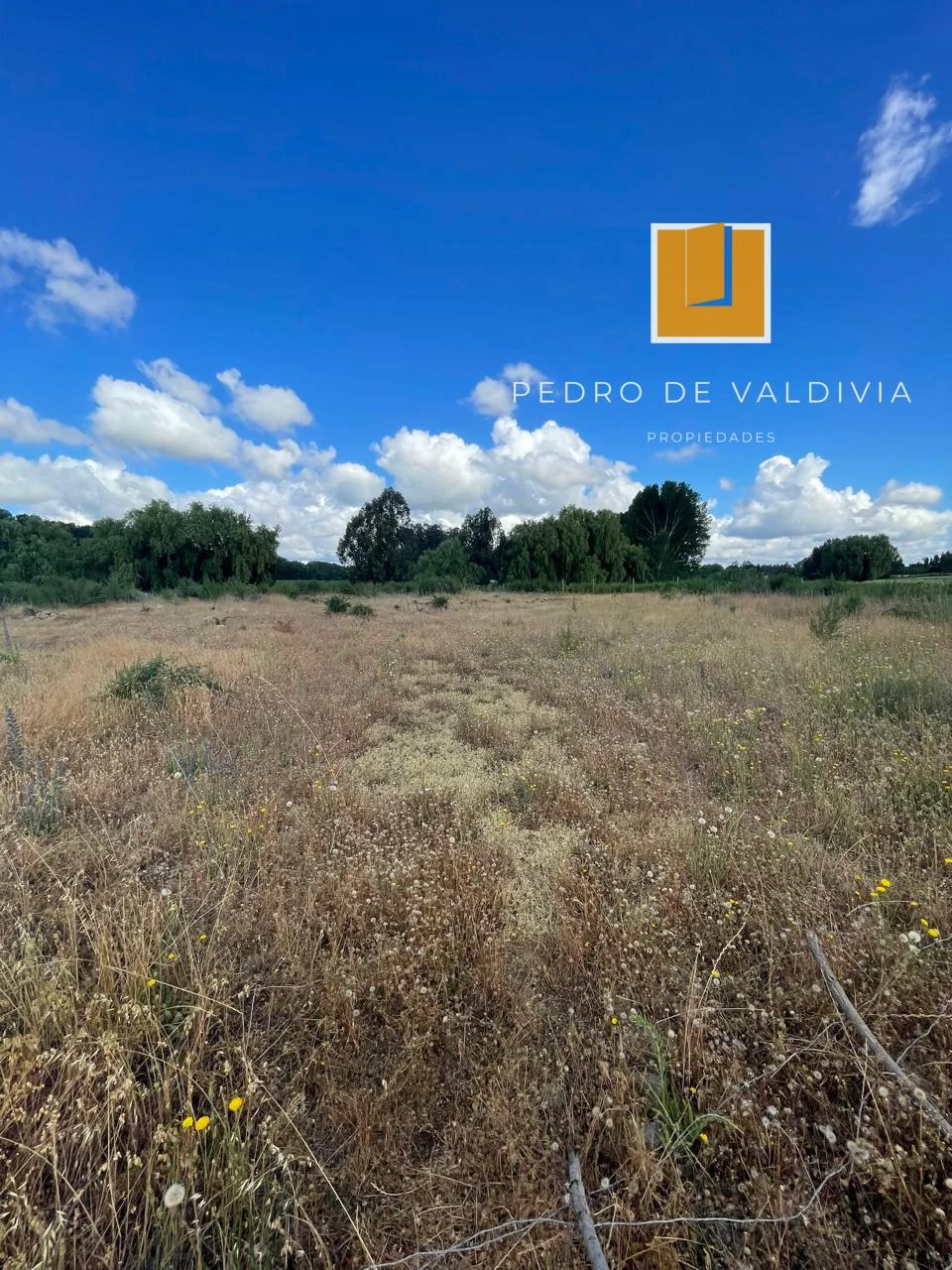Terreno en venta en Chillán — foto 7