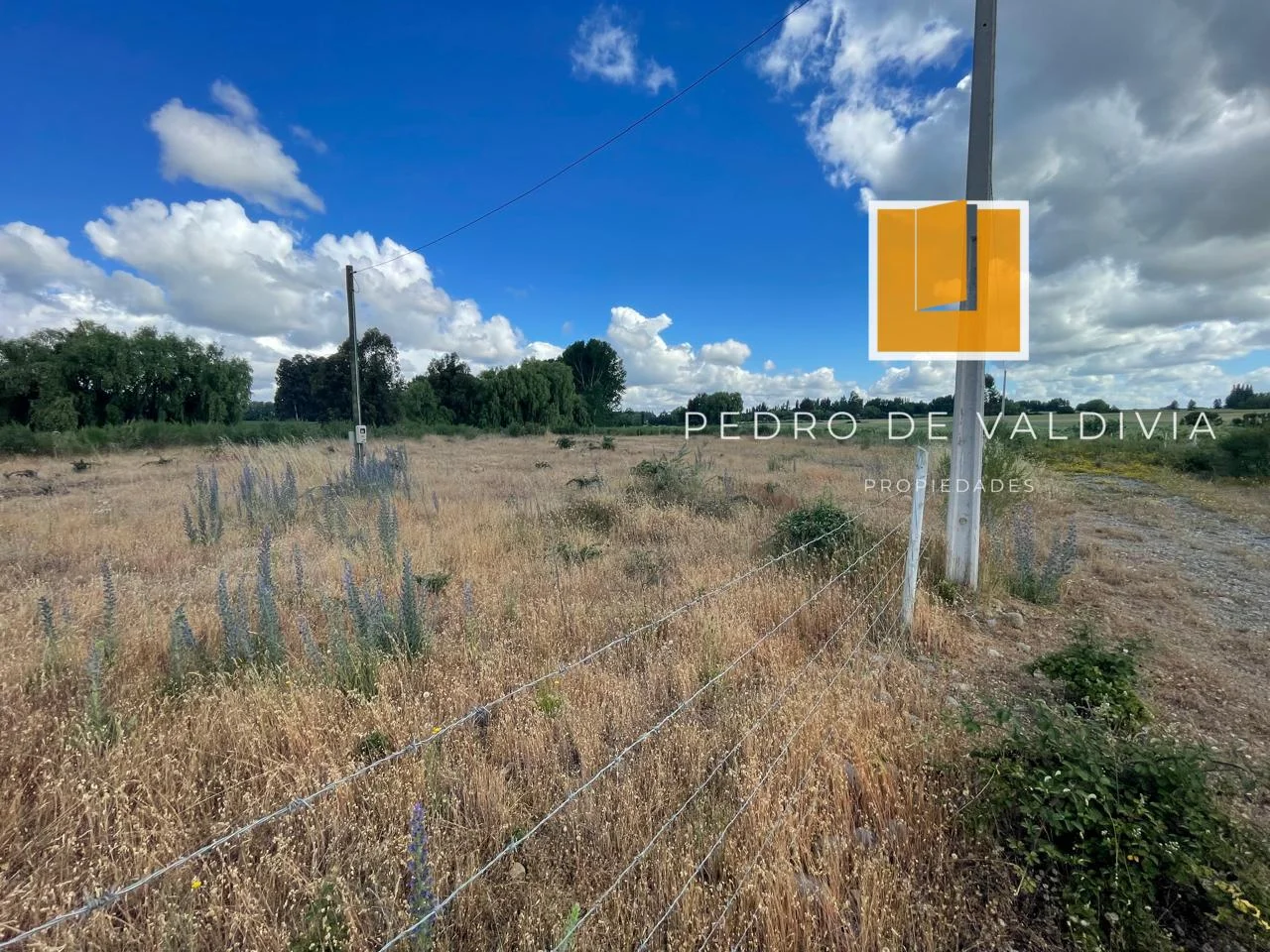 Terreno en venta en Chillán — foto 8