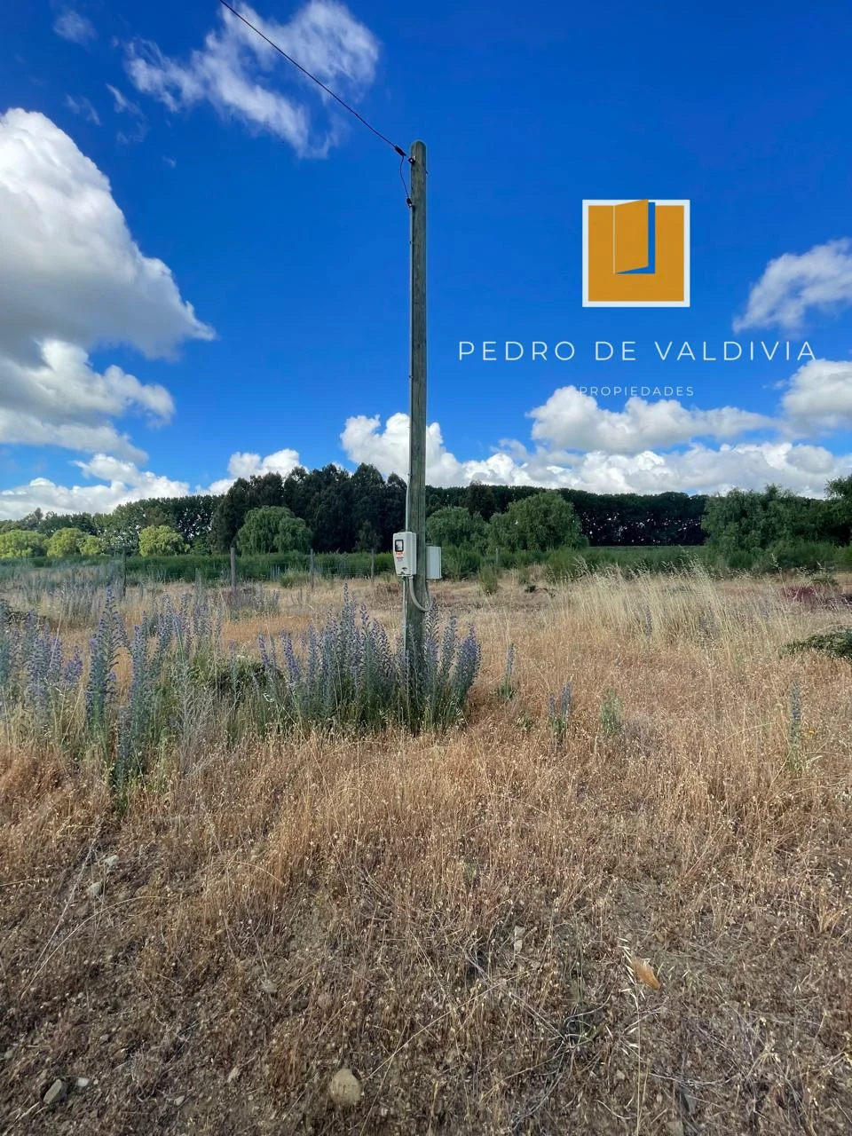 Terreno en venta en Chillán — foto 9