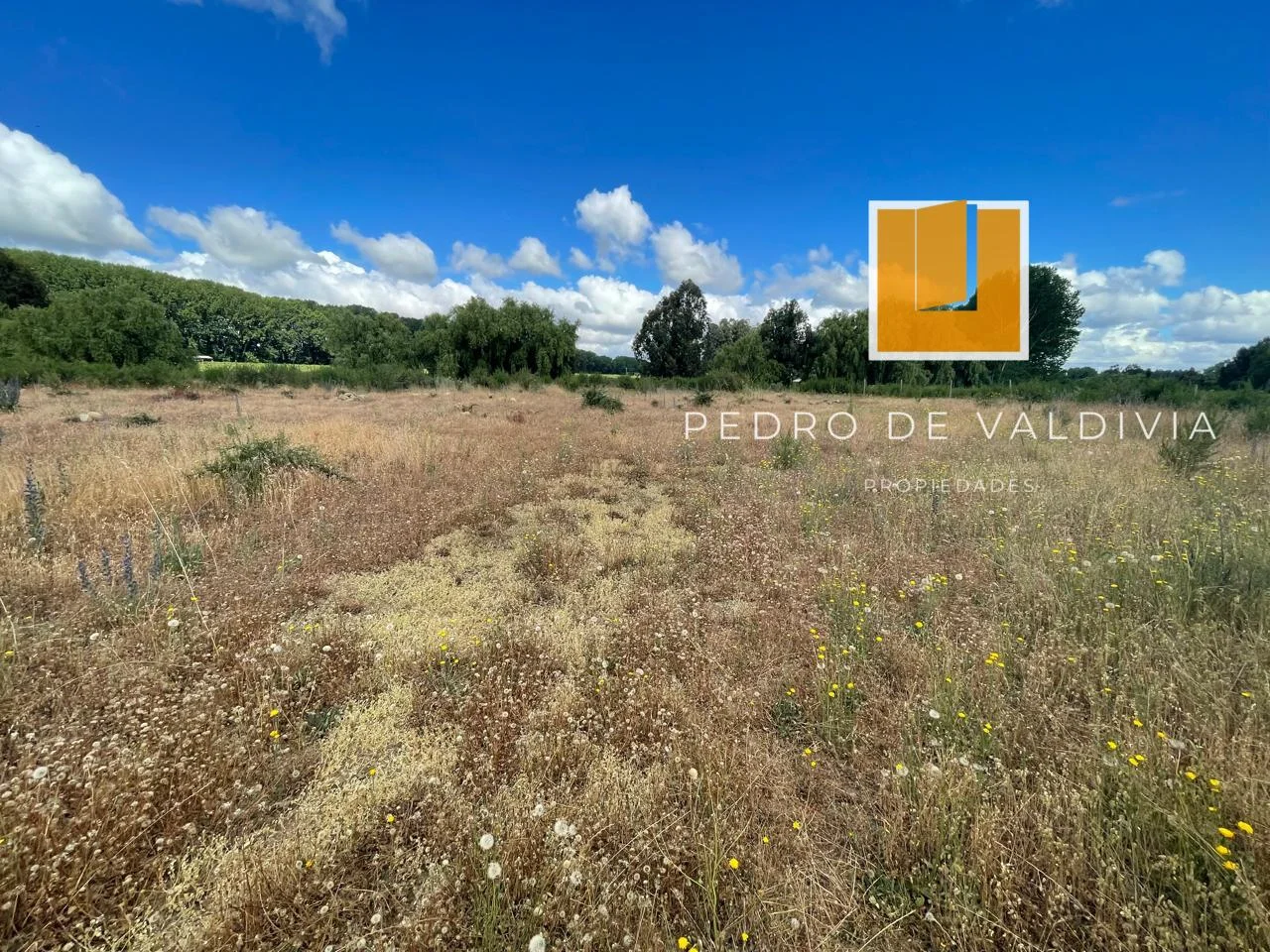 Terreno en venta en Chillán — foto 10