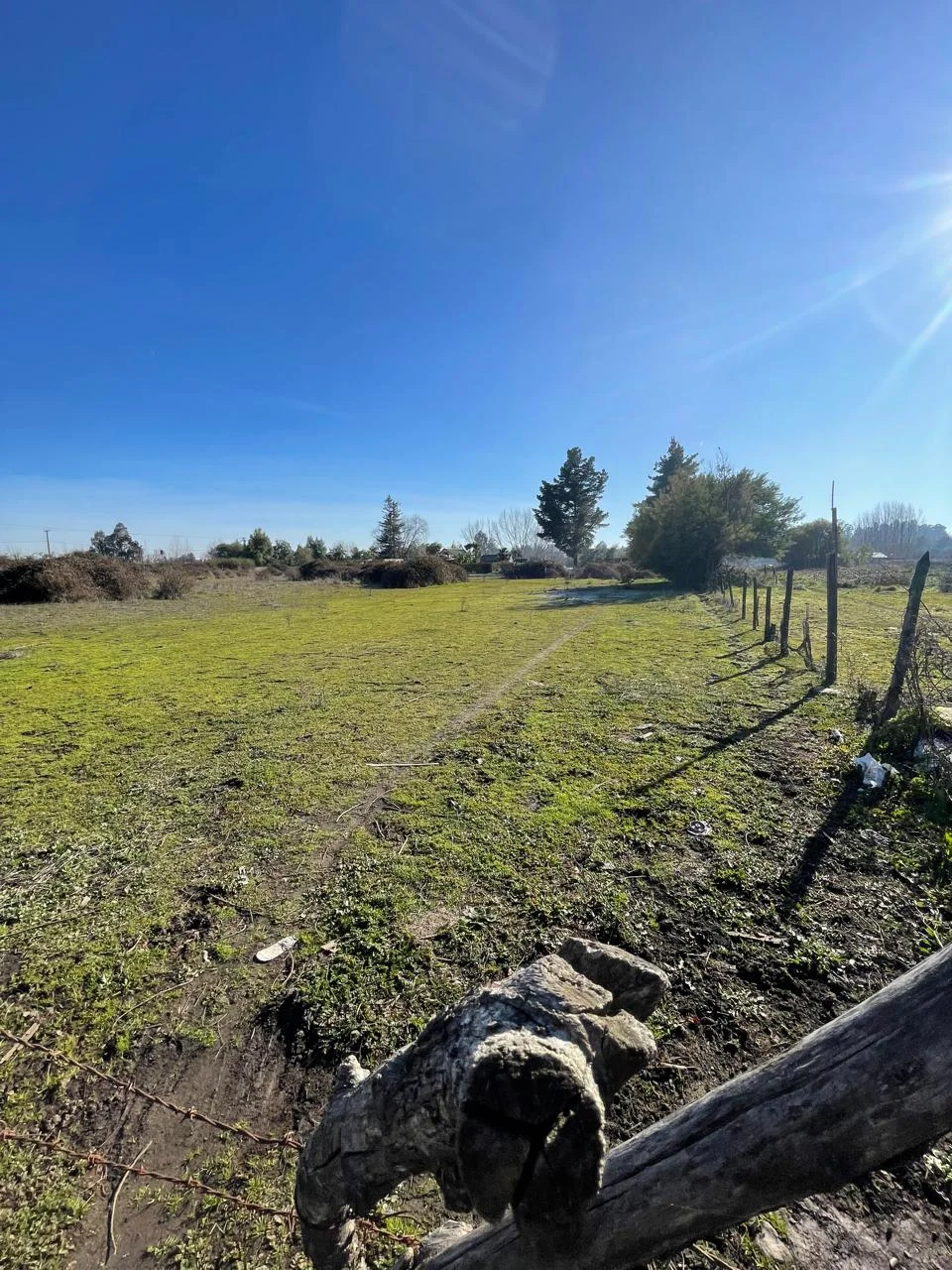 Terreno en venta en Chillán — foto 8
