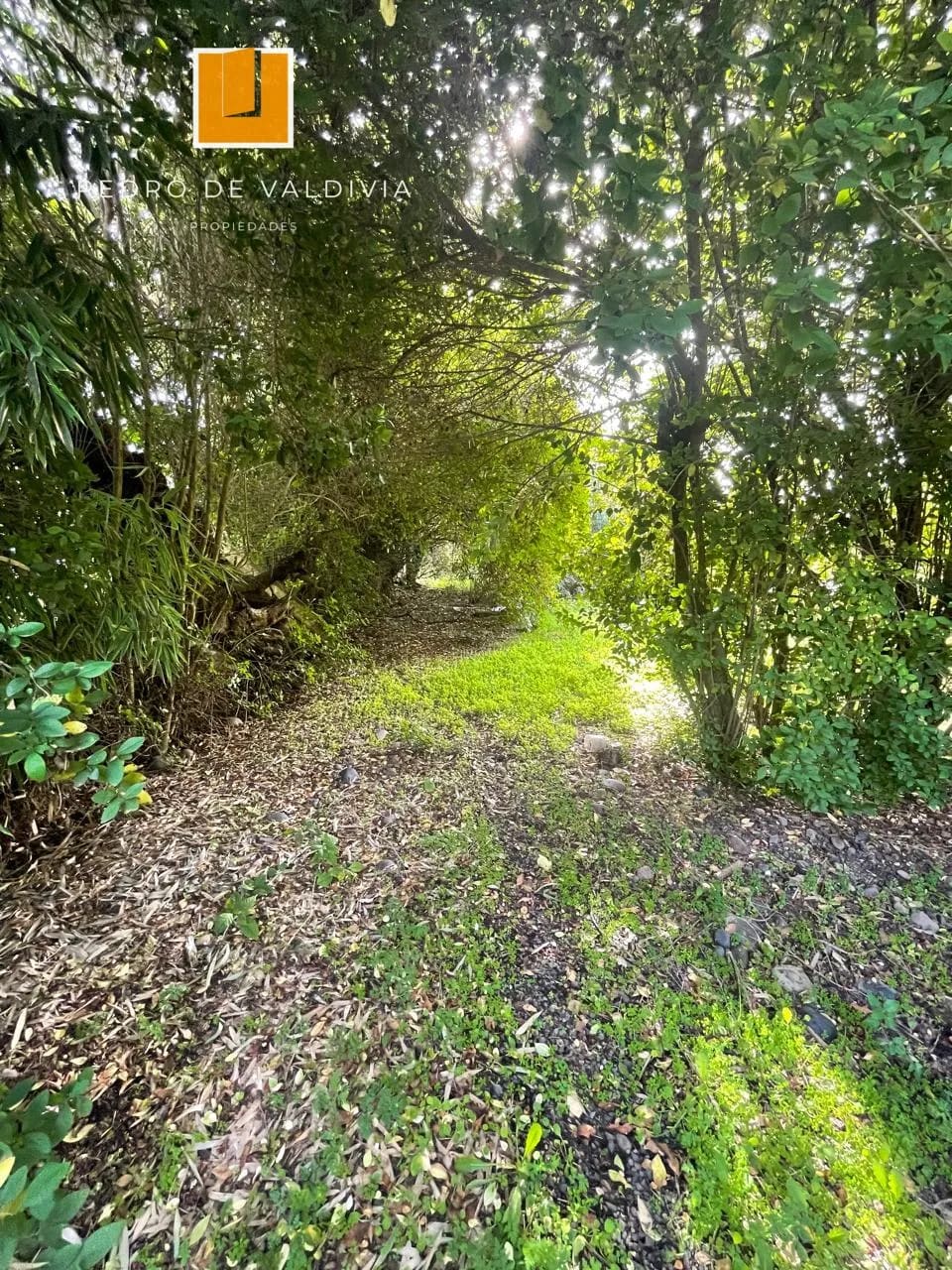 Parcela en venta en Chillán — foto 4