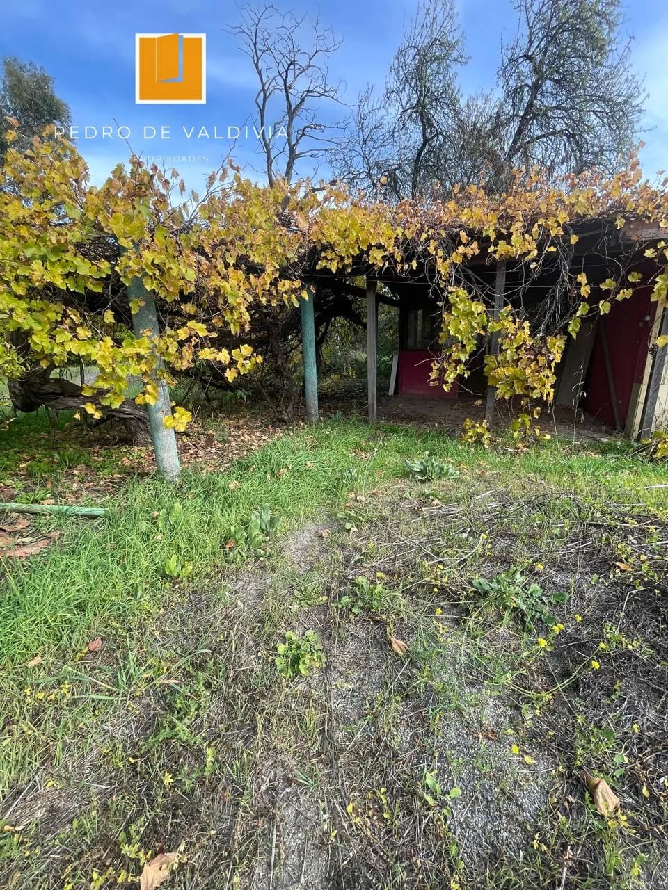 Parcela en venta en Chillán — foto 5