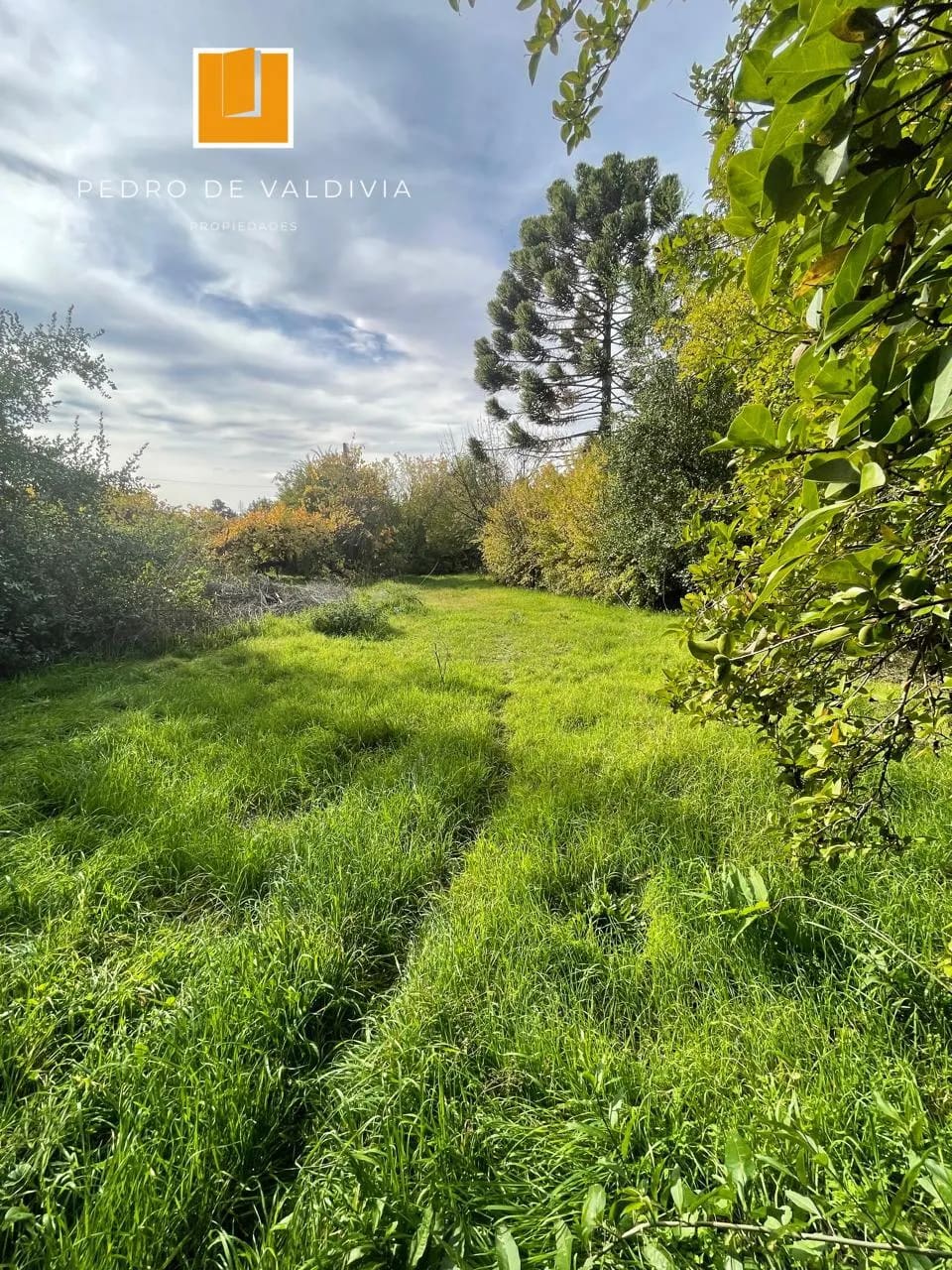 Parcela en venta en Chillán — foto 6