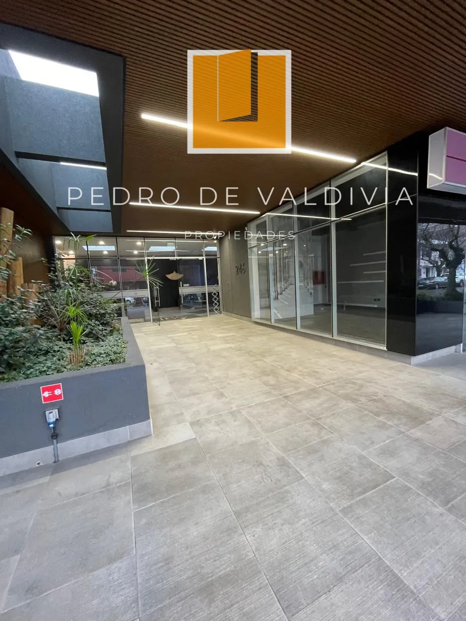 Oficina en arriendo en Chillán — foto 3
