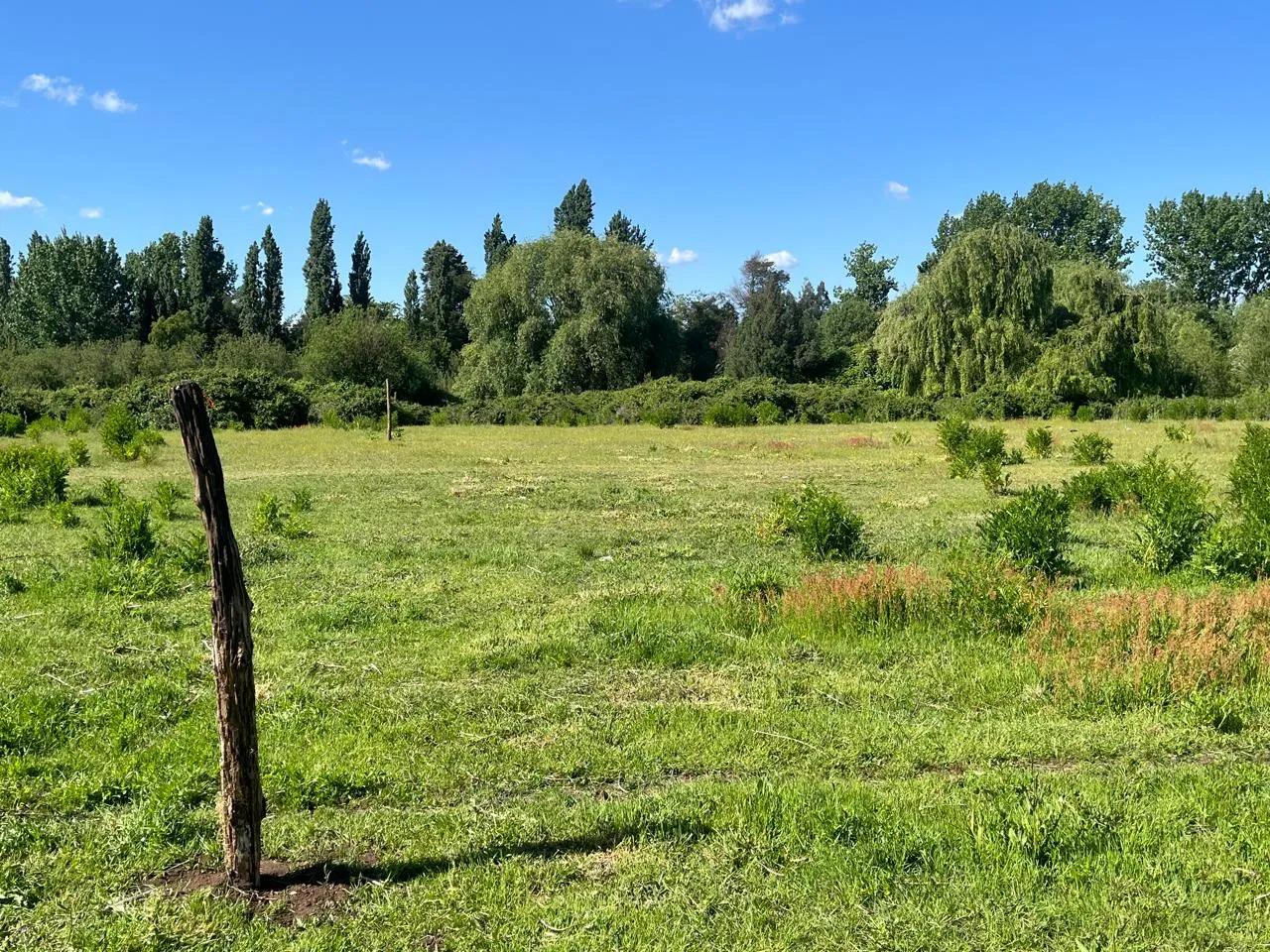 Terreno en venta en Chillán — foto 7