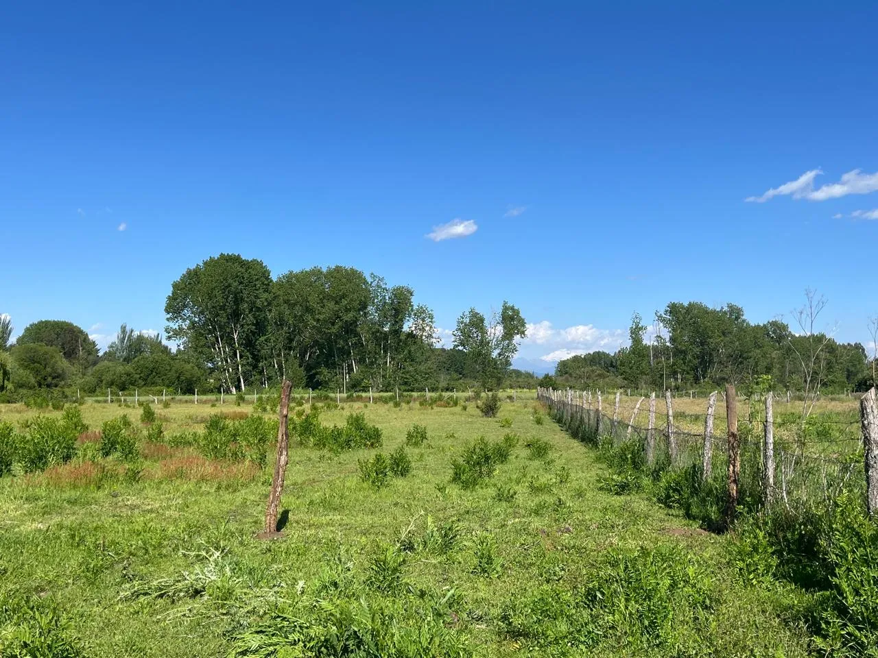 Terreno en venta en Chillán — foto 8