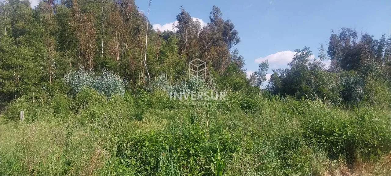 Parcela en venta en Los Ángeles — foto 10