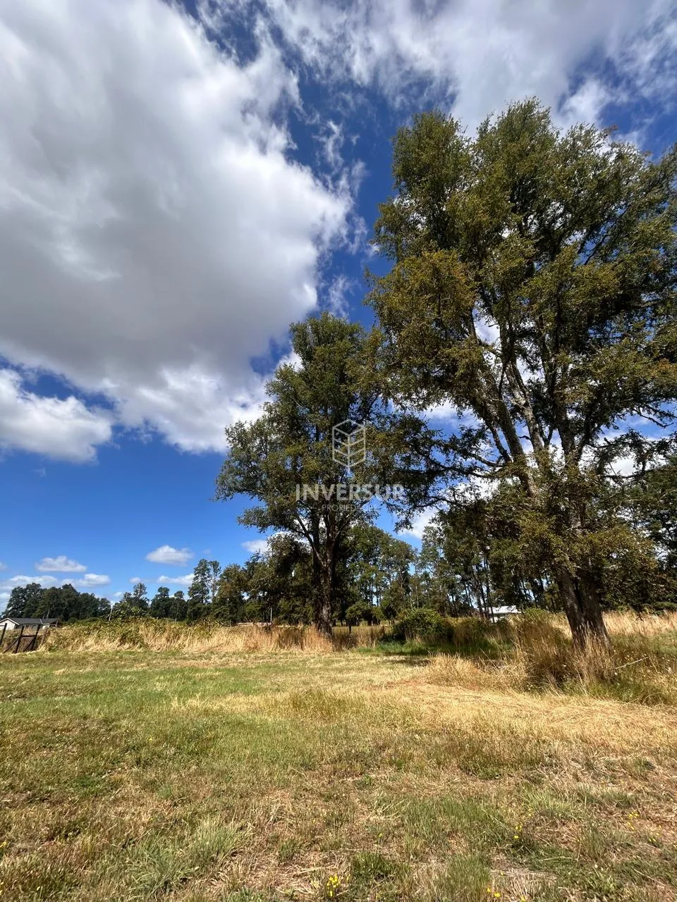 Parcela en venta en Río Bueno — foto 3
