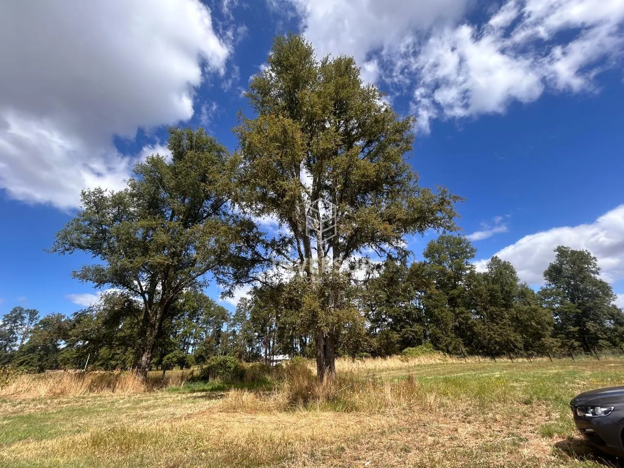 Parcela en venta en Río Bueno — foto 6