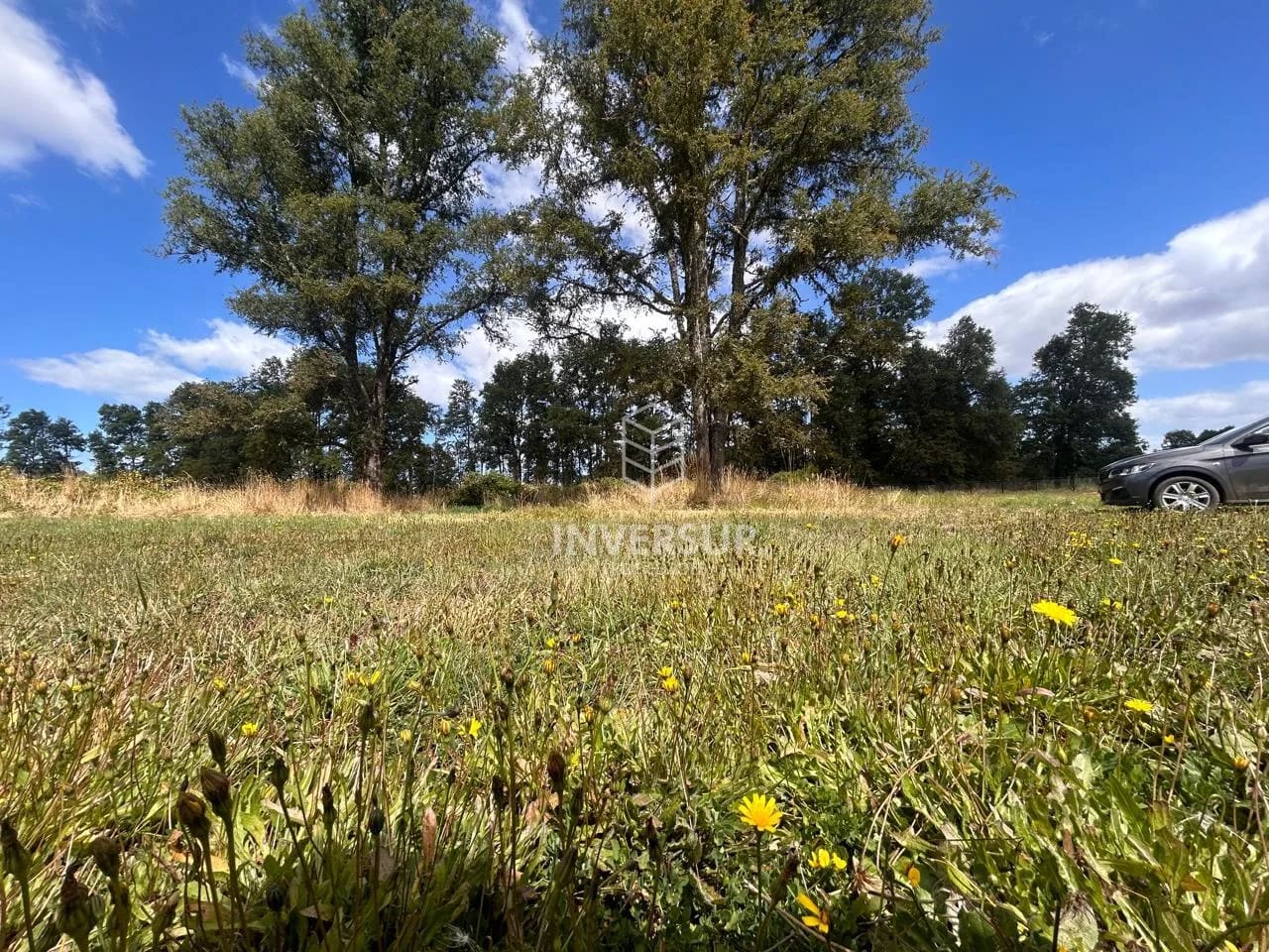 Parcela en venta en Río Bueno — foto 7