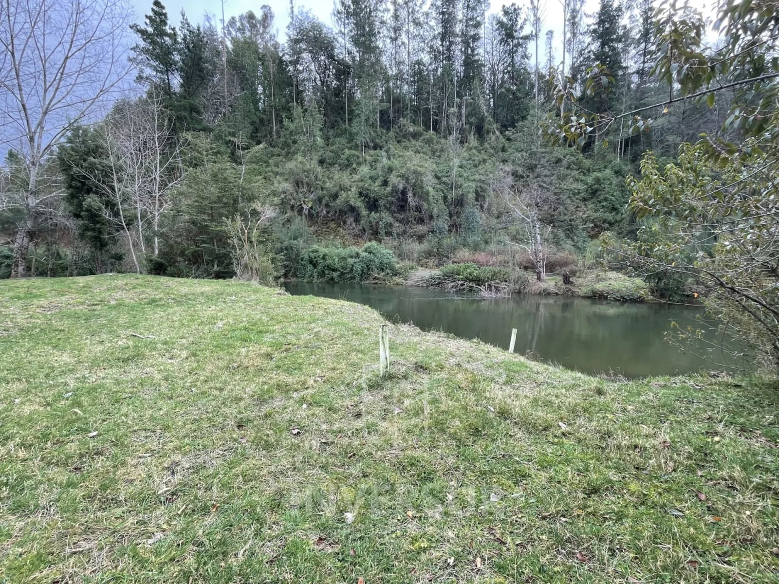 Parcela en venta en Valdivia — foto 3