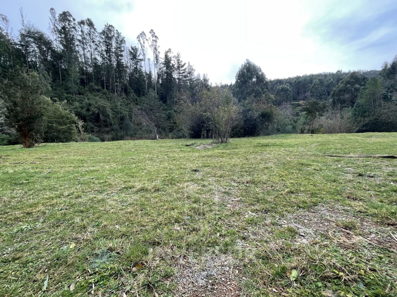 Parcela en venta en Valdivia — foto 7