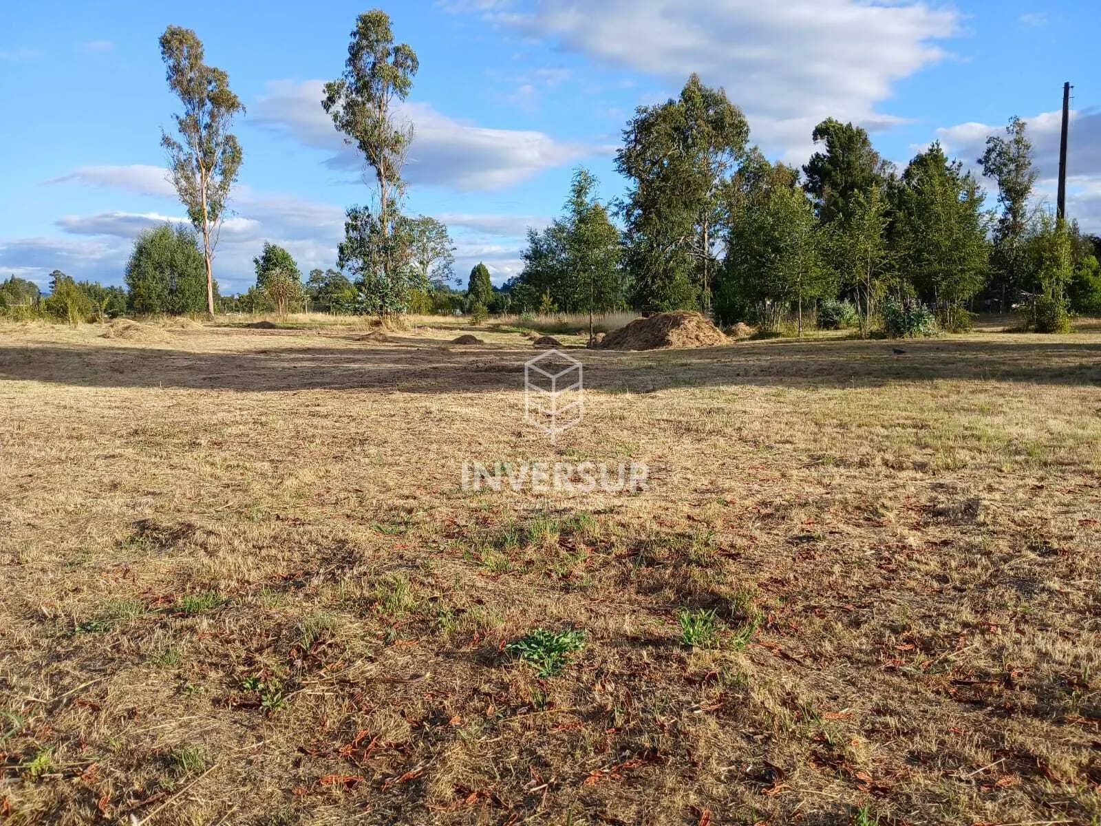 Parcela en venta en Freire — foto 9