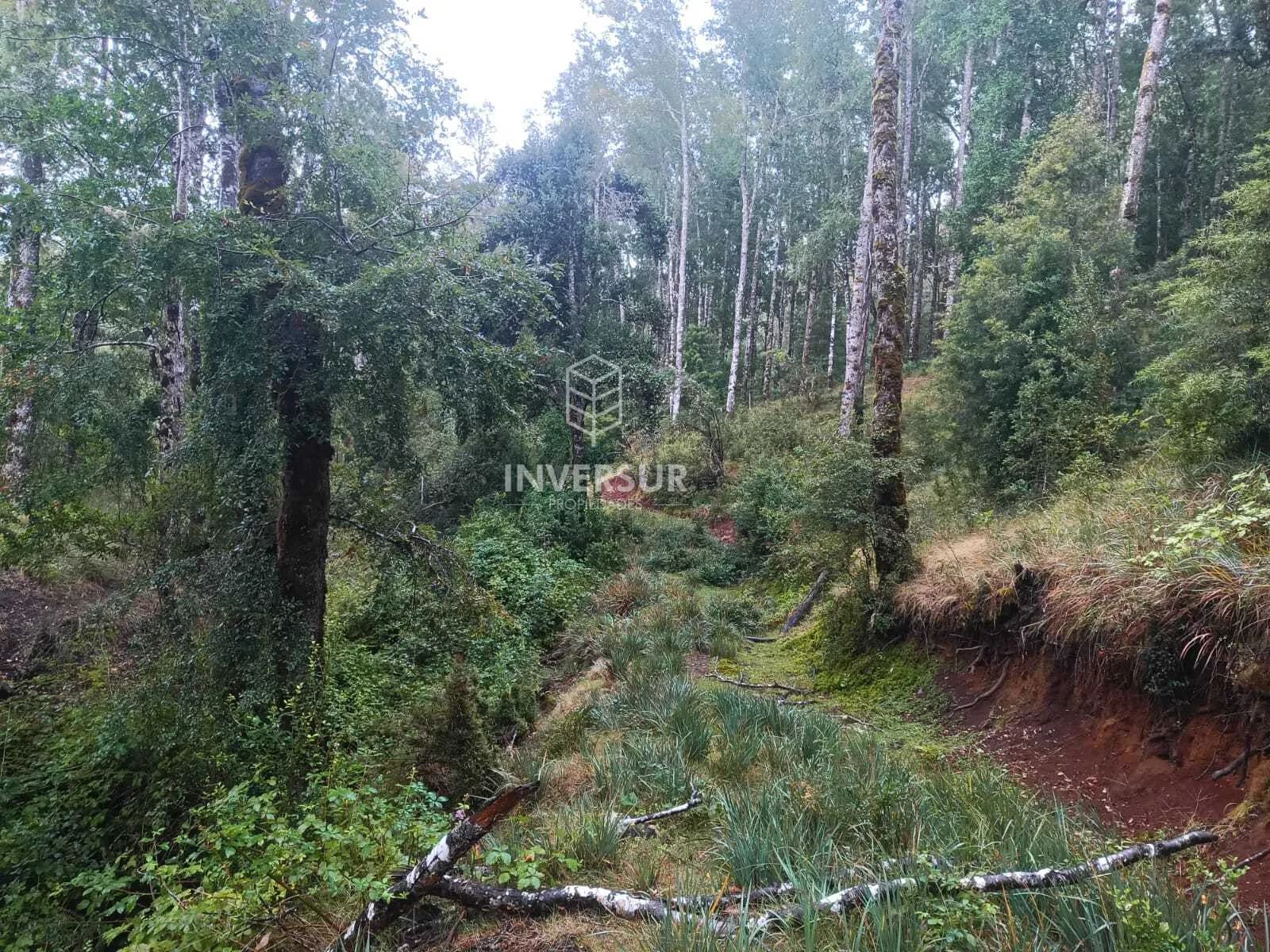 Terreno en venta en La Unión — foto 1
