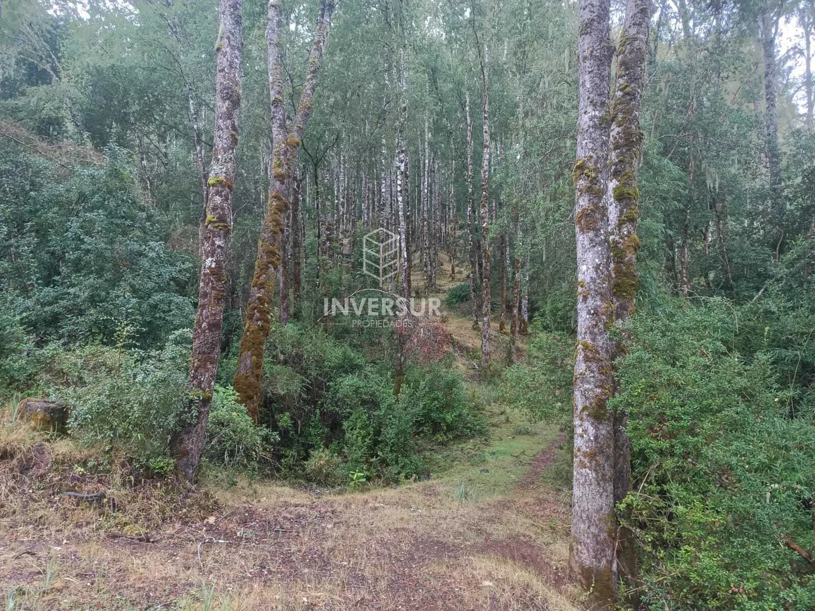 Terreno en venta en La Unión — foto 2