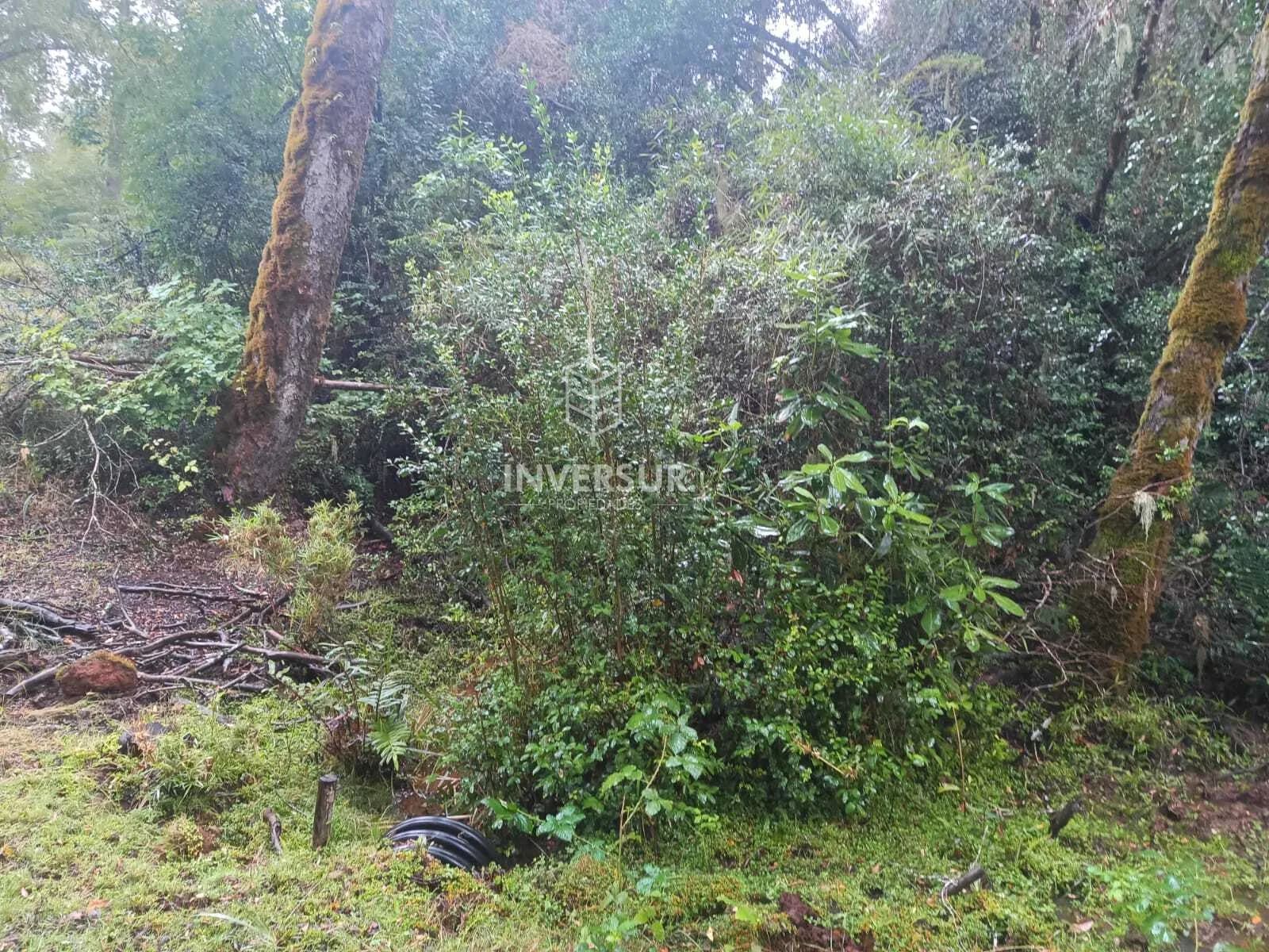 Terreno en venta en La Unión — foto 7