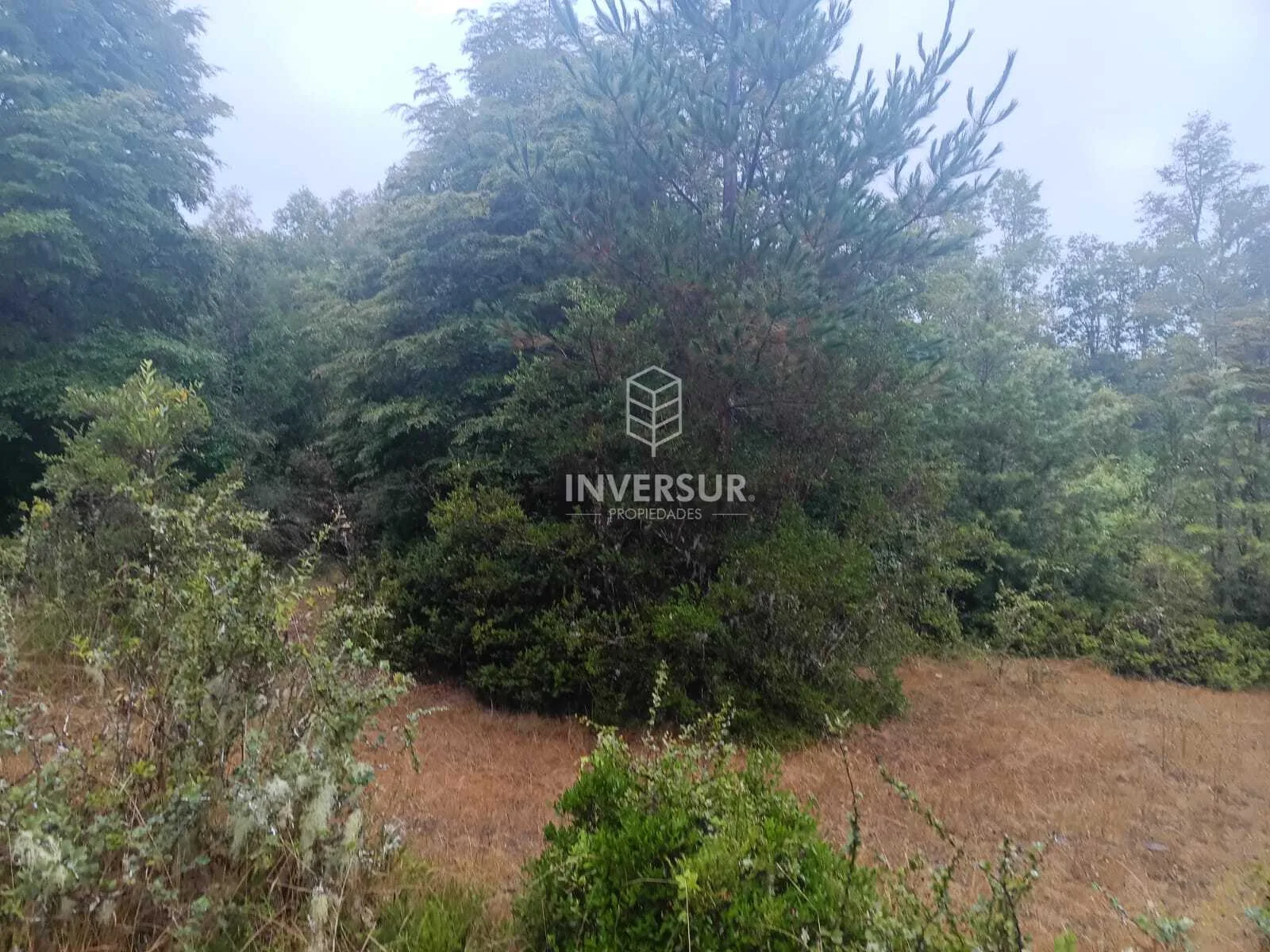Terreno en venta en La Unión — foto 9