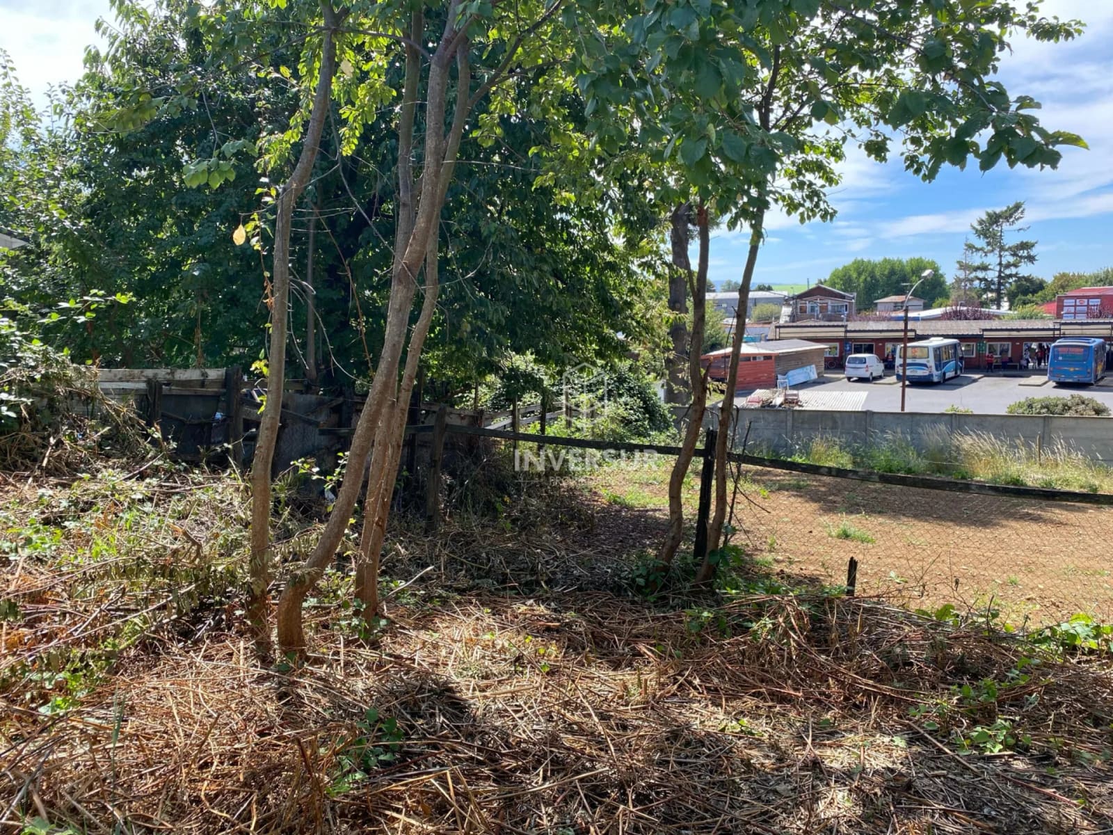 Casa en venta en Río Bueno — foto 5