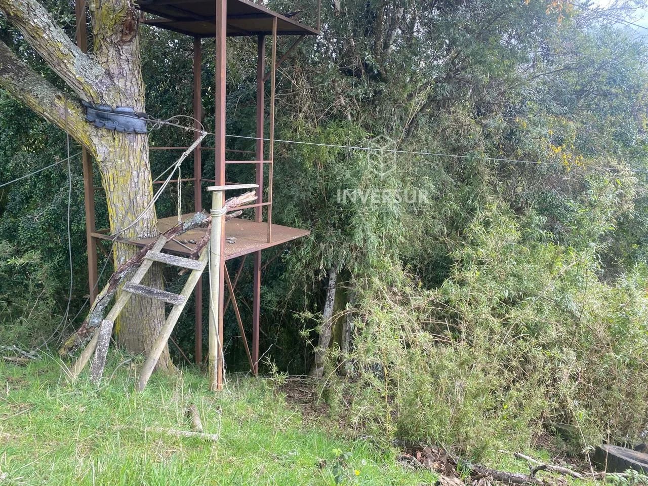 Parcela en venta en Río Bueno — foto 5