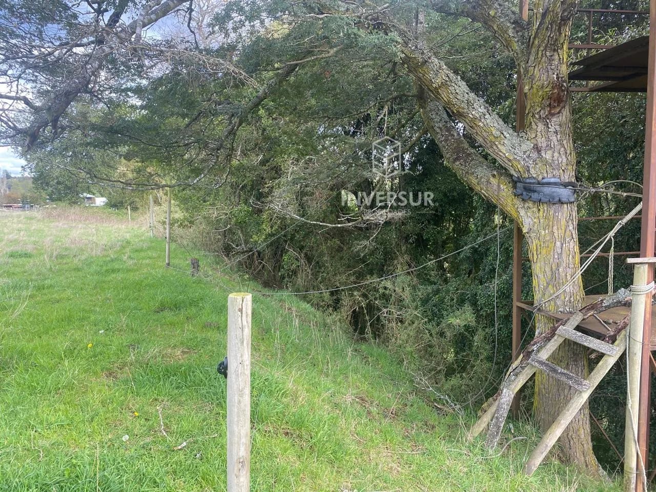 Parcela en venta en Río Bueno — foto 7